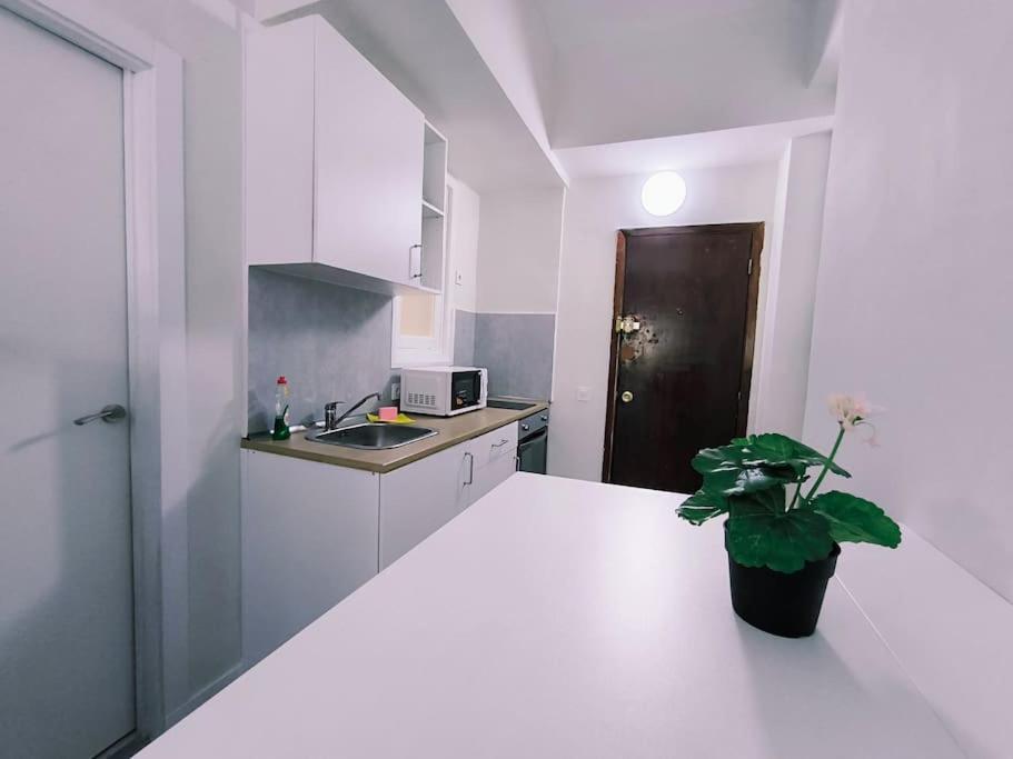 Apartamentos Carrillo 7 Santa Cruz de Tenerife Exteriör bild